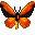 Leetle Golden Birdwing