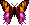 Leetle Sunset Moth