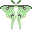 Leetle Luna Moth