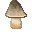 Brown mushrooms m...