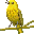 Leetle Yellow Warbler