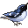 Leetle Black-throated Blue Warbler
