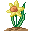 Leetle Dancing Daffodil