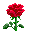 Leetle Red Rose