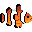 Leetle Clown Fish